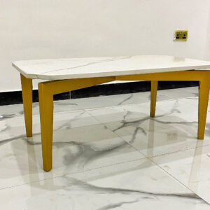 Divine Coffee Table
