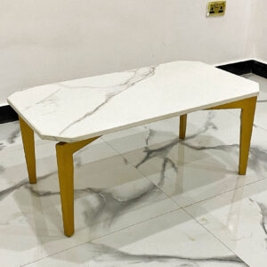 Divine Coffee Table