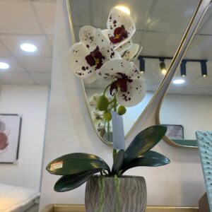 Grey Vase & Flower
