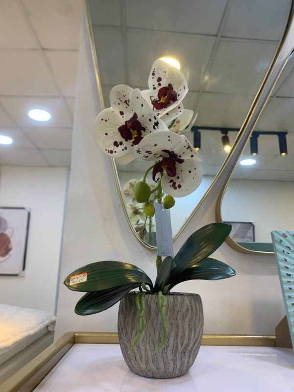 Grey Vase & Flower