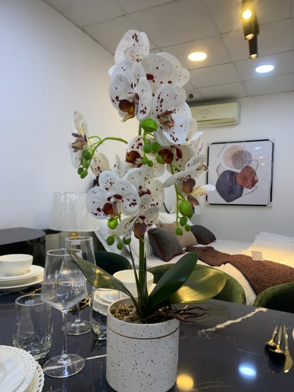 White Nordic Vase and Flower