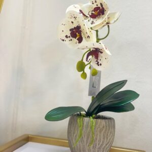 Grey Vase & Flower