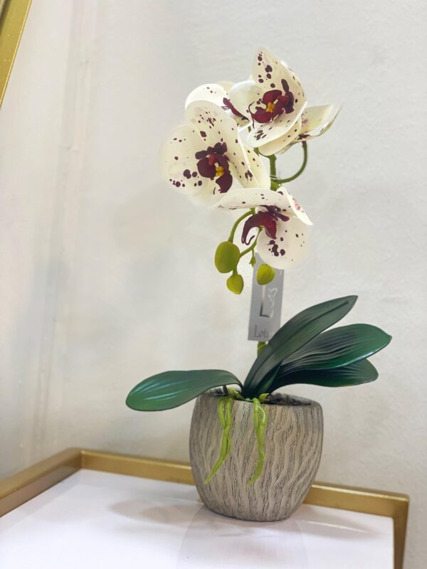 Grey Vase & Flower